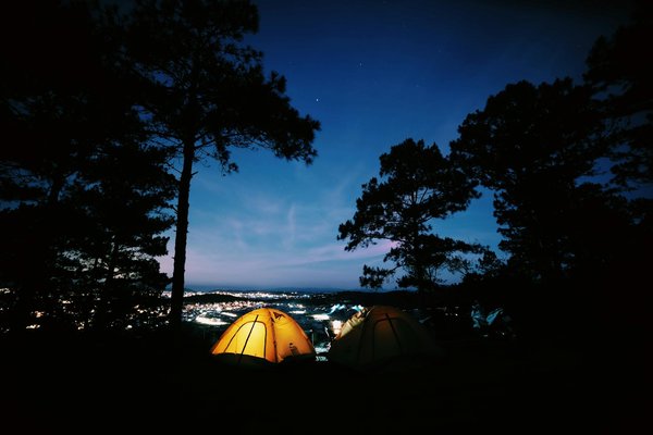 Visites culturelles au Japon : entre tradition et modernité