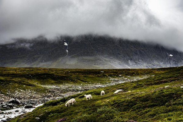 Eco-camping en Corse: préserver la nature tout en profitant du plein air